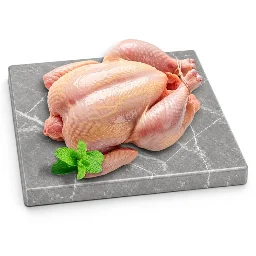 Pollo y Aves