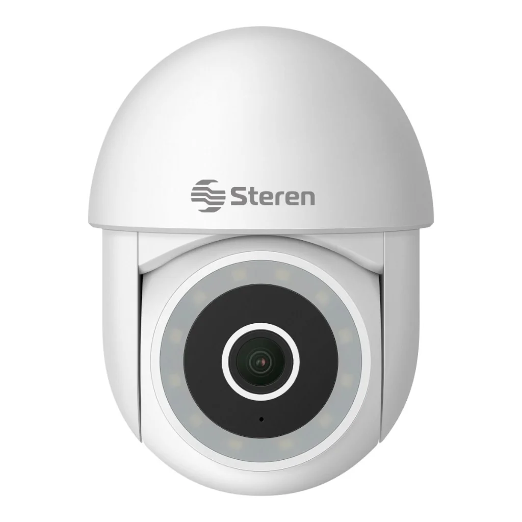 Seguridad y Vigilancia